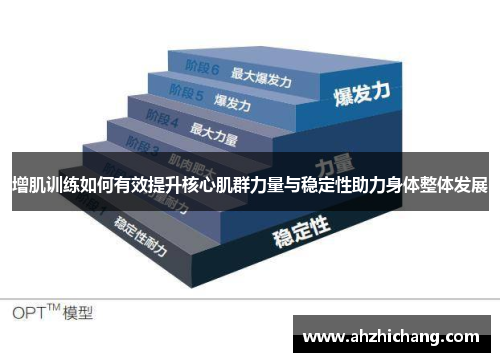 增肌训练如何有效提升核心肌群力量与稳定性助力身体整体发展