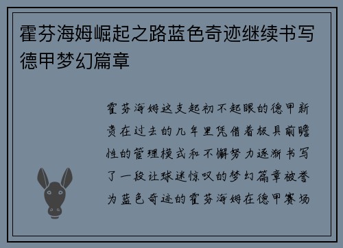 霍芬海姆崛起之路蓝色奇迹继续书写德甲梦幻篇章
