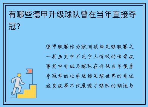 有哪些德甲升级球队曾在当年直接夺冠？