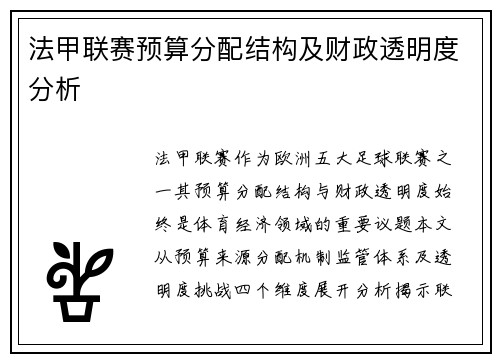 法甲联赛预算分配结构及财政透明度分析